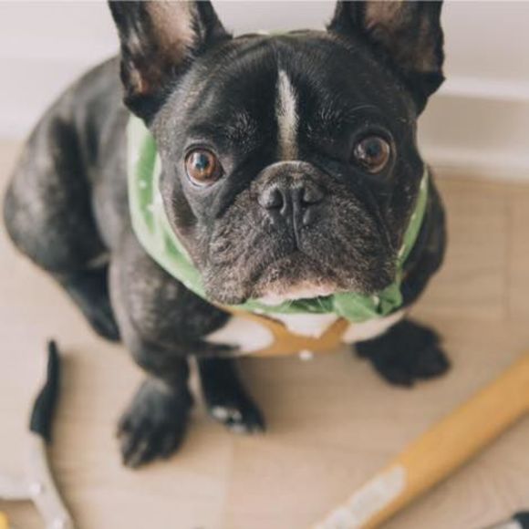 Meet your Posher, Jessica - Picture 1 of 1